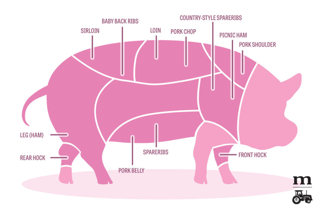 Pig Parts 101 parts of a pig