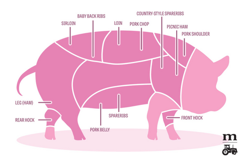 Pig Parts 101 | Carnivore Club